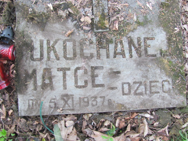   Nałęczów - Grobonet - Wyszukiwarka osób pochowanych