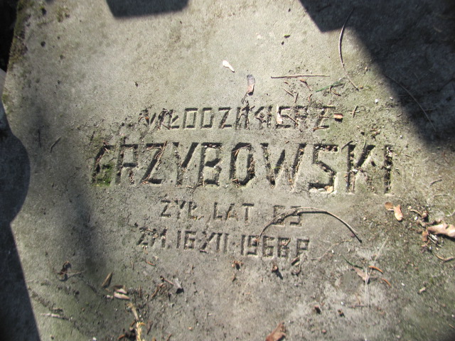 Włodzimierz Grzybowski Nałęczów - Grobonet - Wyszukiwarka osób pochowanych