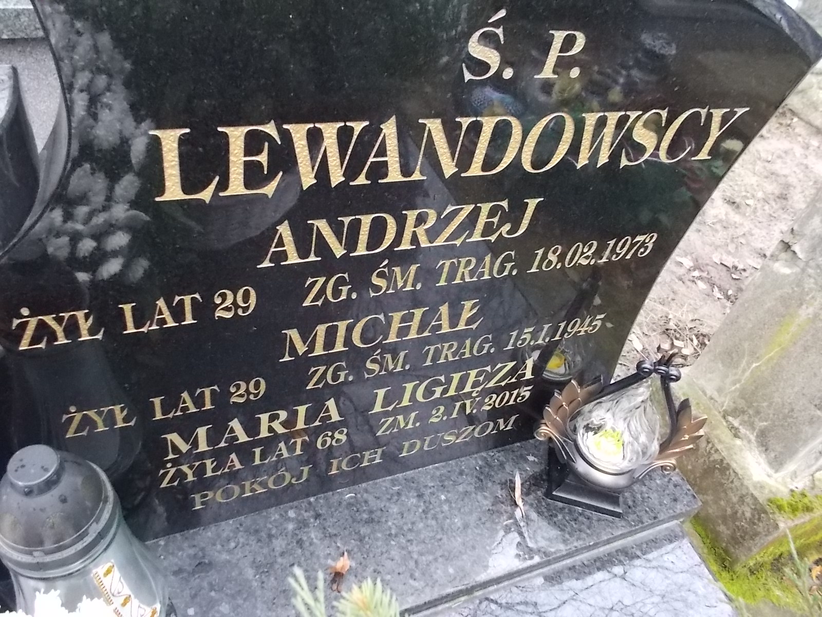 Andrzej Lewandowski Nałęczów - Grobonet - Wyszukiwarka osób pochowanych