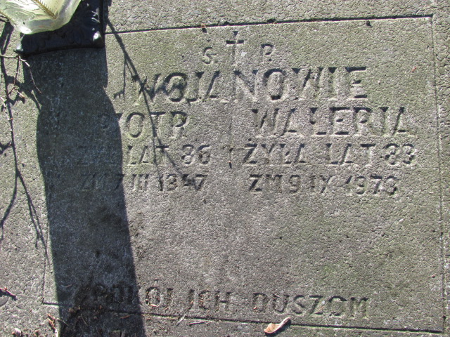 Piotr Wojan Nałęczów - Grobonet - Wyszukiwarka osób pochowanych