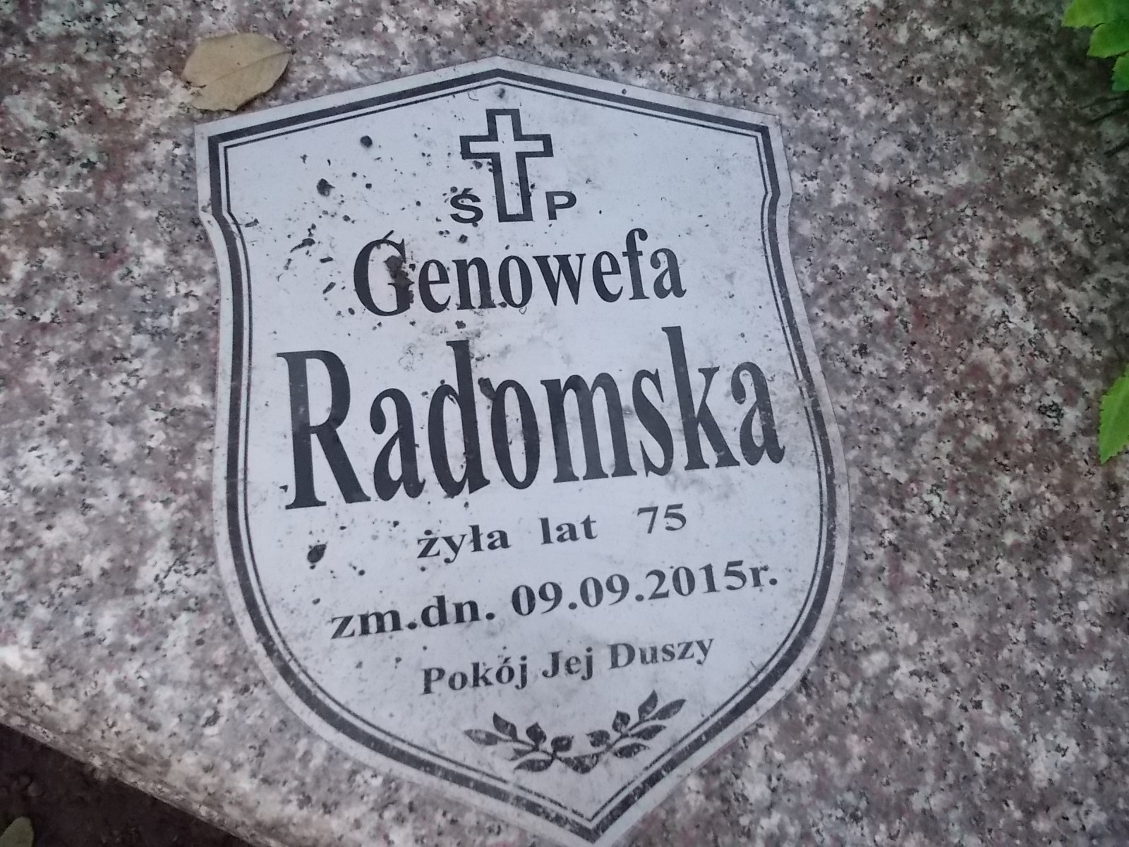 Władysława Sygnowska Nałęczów - Grobonet - Wyszukiwarka osób pochowanych